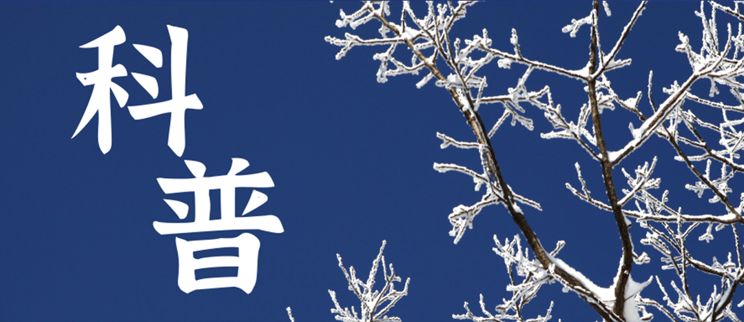 科普 | 冬季雨雪天氣?；愤\(yùn)輸車(chē)輛注意事項(xiàng)